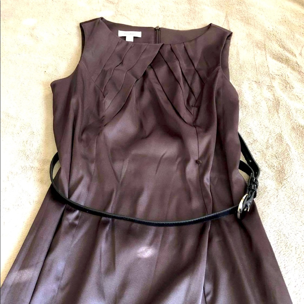 Brown knee length women’s dress SZ 14
